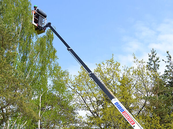 DINO 220XTC II im Baumschnitt – präzise Höhenzugangstechnik für Arbeiten im Gelände