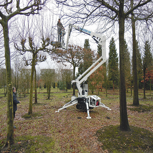CTE Traccess T135 bei dem Beschneiden von Bäumen